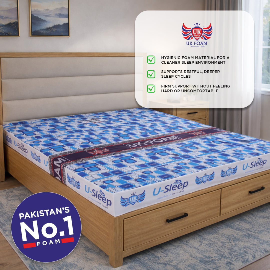 U-sleep